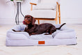 Load image into Gallery viewer, The Belgravia Orthopaedic Dog Sofa
