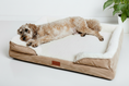 Load image into Gallery viewer, The Belgravia Orthopaedic Dog Sofa
