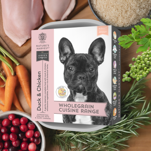 Adult Dog Food