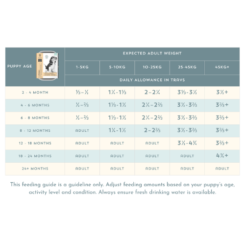 Chicken & Vegetables with Brown Rice - Puppy