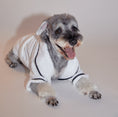 Load image into Gallery viewer, Wrap Them in Comfort - Dog Bathrobe
