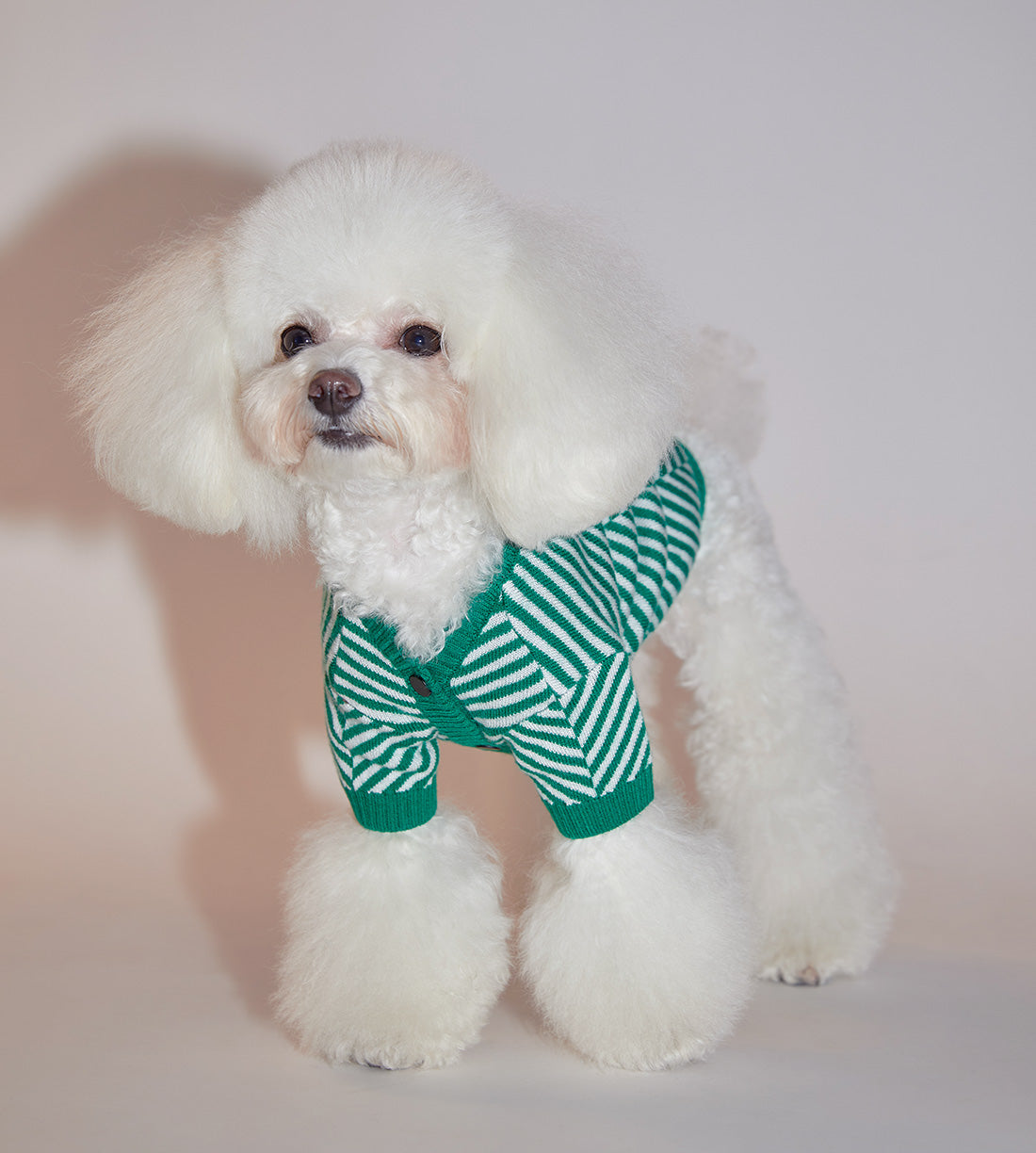 Zig Zag Cardigan Sweater