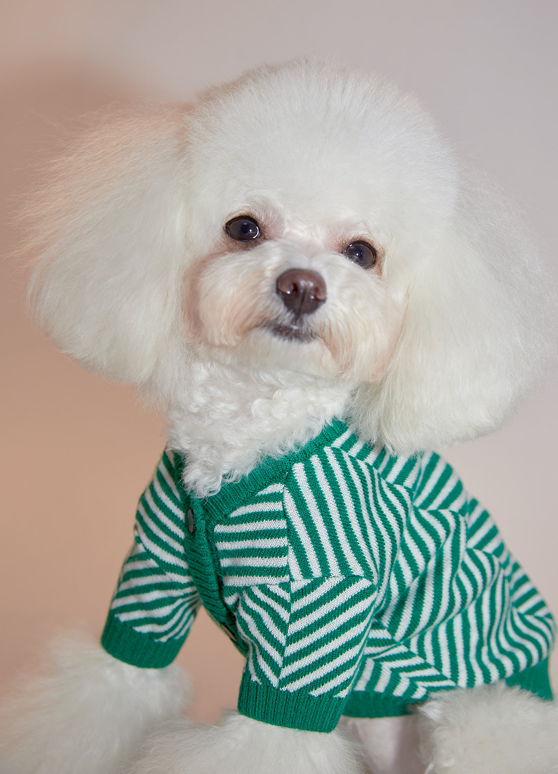 Zig Zag Cardigan Sweater