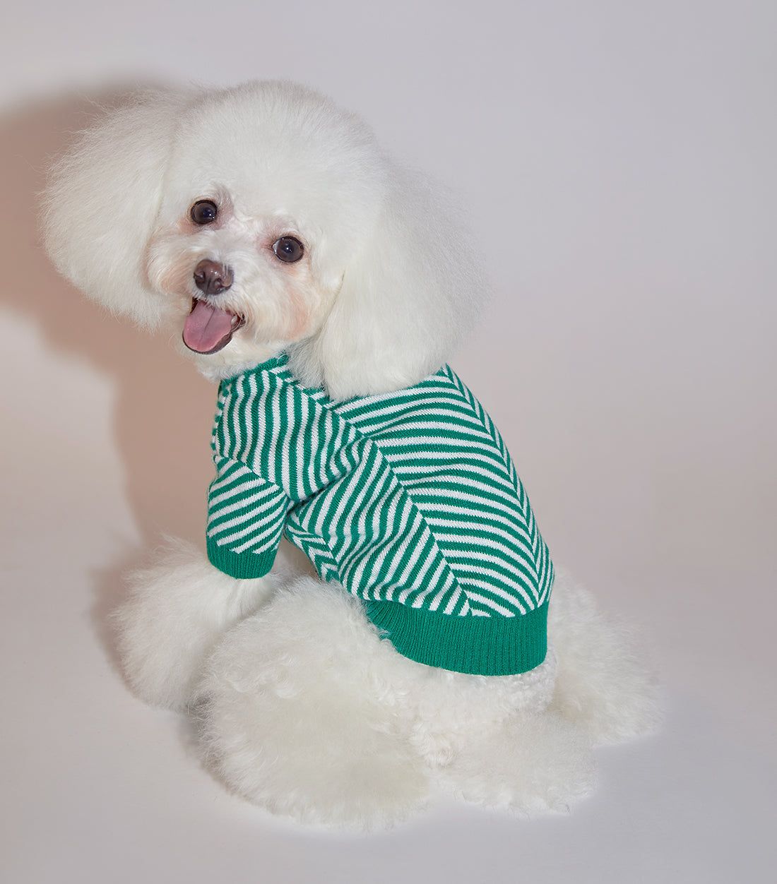 Zig Zag Cardigan Sweater