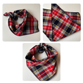 Load image into Gallery viewer, Judge's Choice Dog Bandana.
