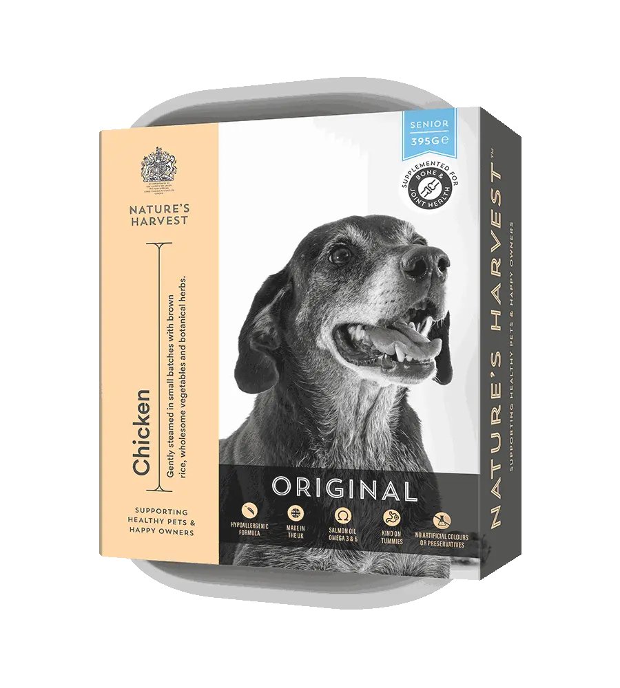 Canidae senior best sale dog food