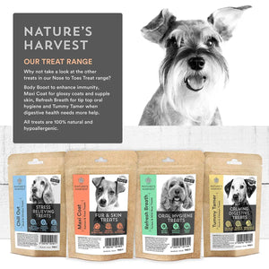 Immunity Enhancing Dog Treats 'Body Boost' 70g - Nature's Harvest Natural Dog Food