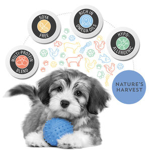 Nature's Harvest Puppy Training Treats key points