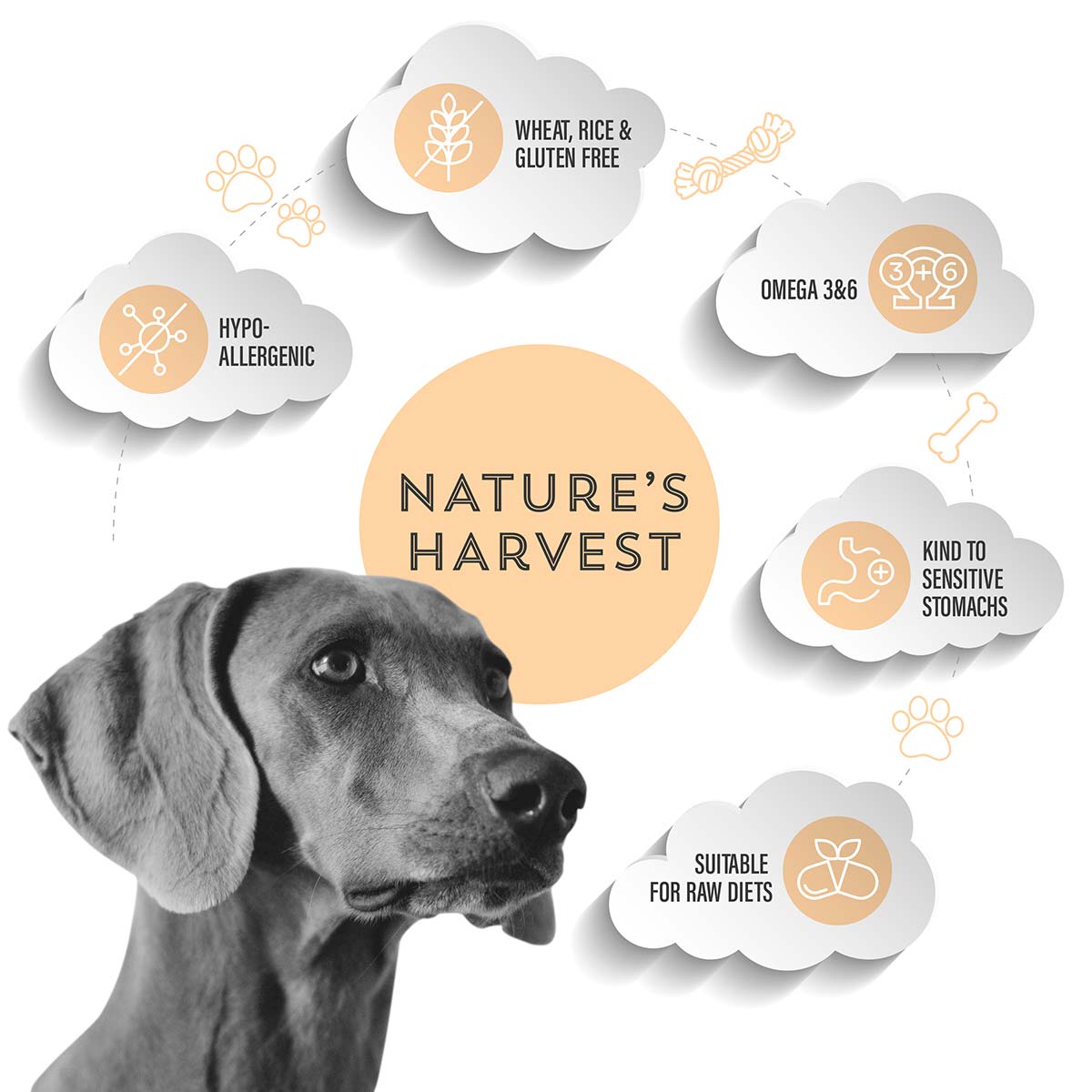 Chicken and Sweet Potato Pie Hypoallergenic Cold Pressed dog food key selling points - Raw Made Easy Natures Harvest