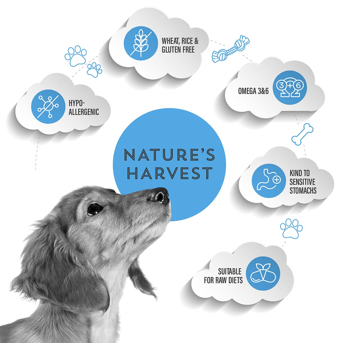 Ocean Fish and Sweet Potato Pie Hypoallergenic Cold Pressed dog food key selling points - Raw Made Easy Natures HarvestOcean Fish and Sweet Potato Pie Hypoallergenic Cold Pressed dog food key selling points - Raw Made Easy Natures Harvest