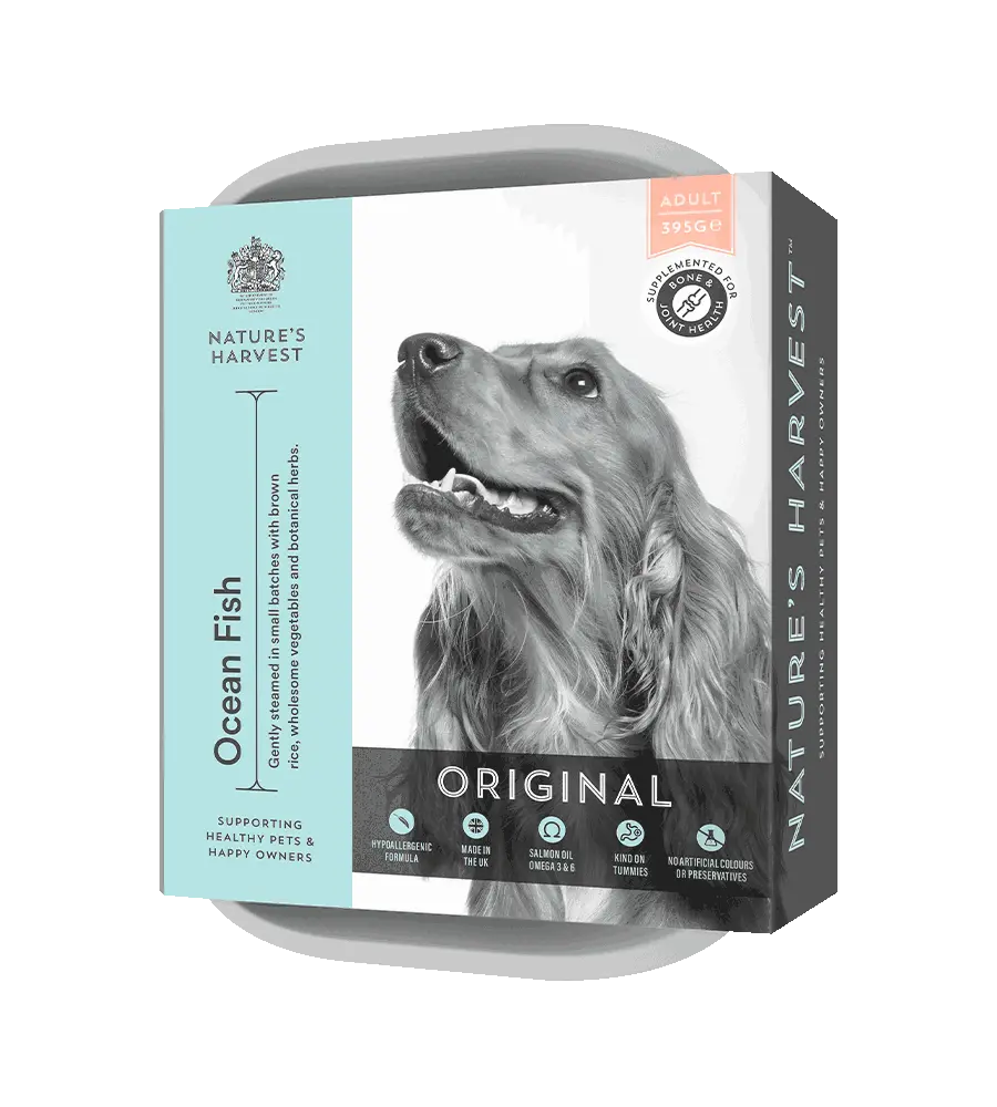 Ocean Fish and Brown Rice Adult Dog Food 10 Pack Nature s