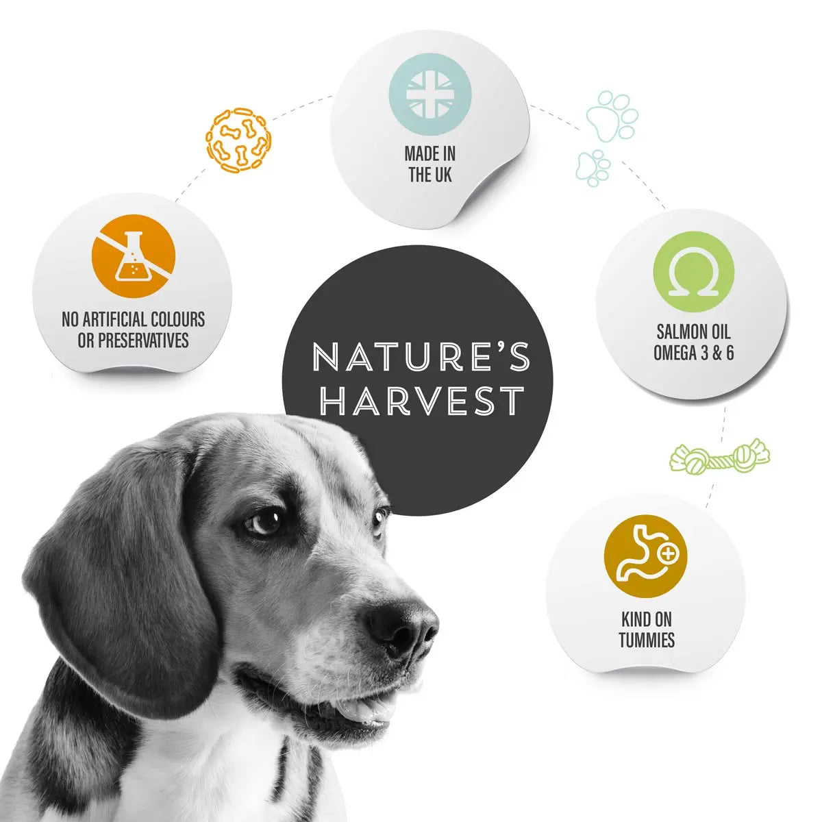 Nature's Harvest Adult - Variety Pack (10x395g).