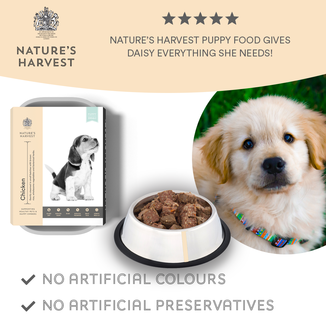 Nature's Harvest Puppy - Chicken and Brown Rice (10x395g)